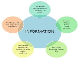 He/She Understands What Information can be Sought using the Act and How